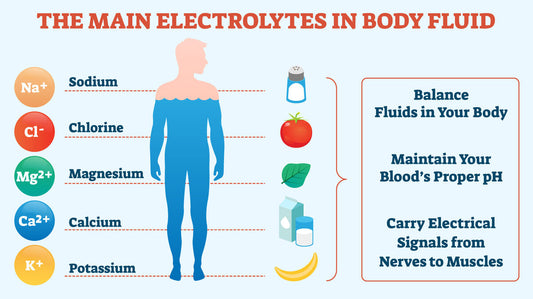 Understanding How Electrolytes Aid Hangover Recovery